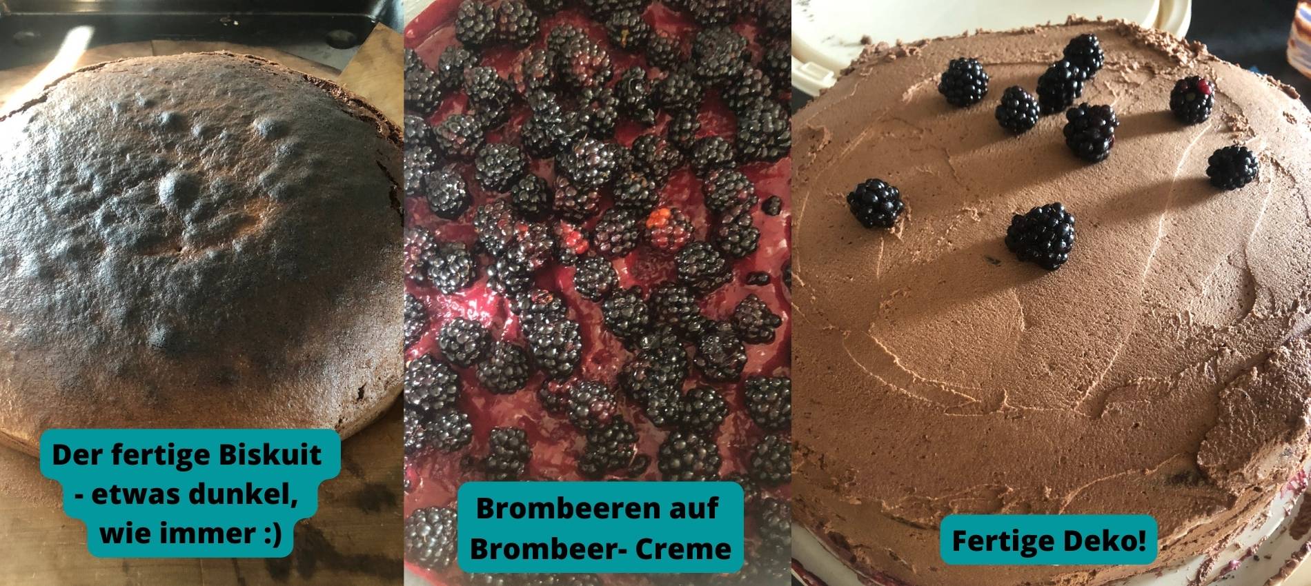 Buiskuit mit Schoko Sahne auf Brombeeren