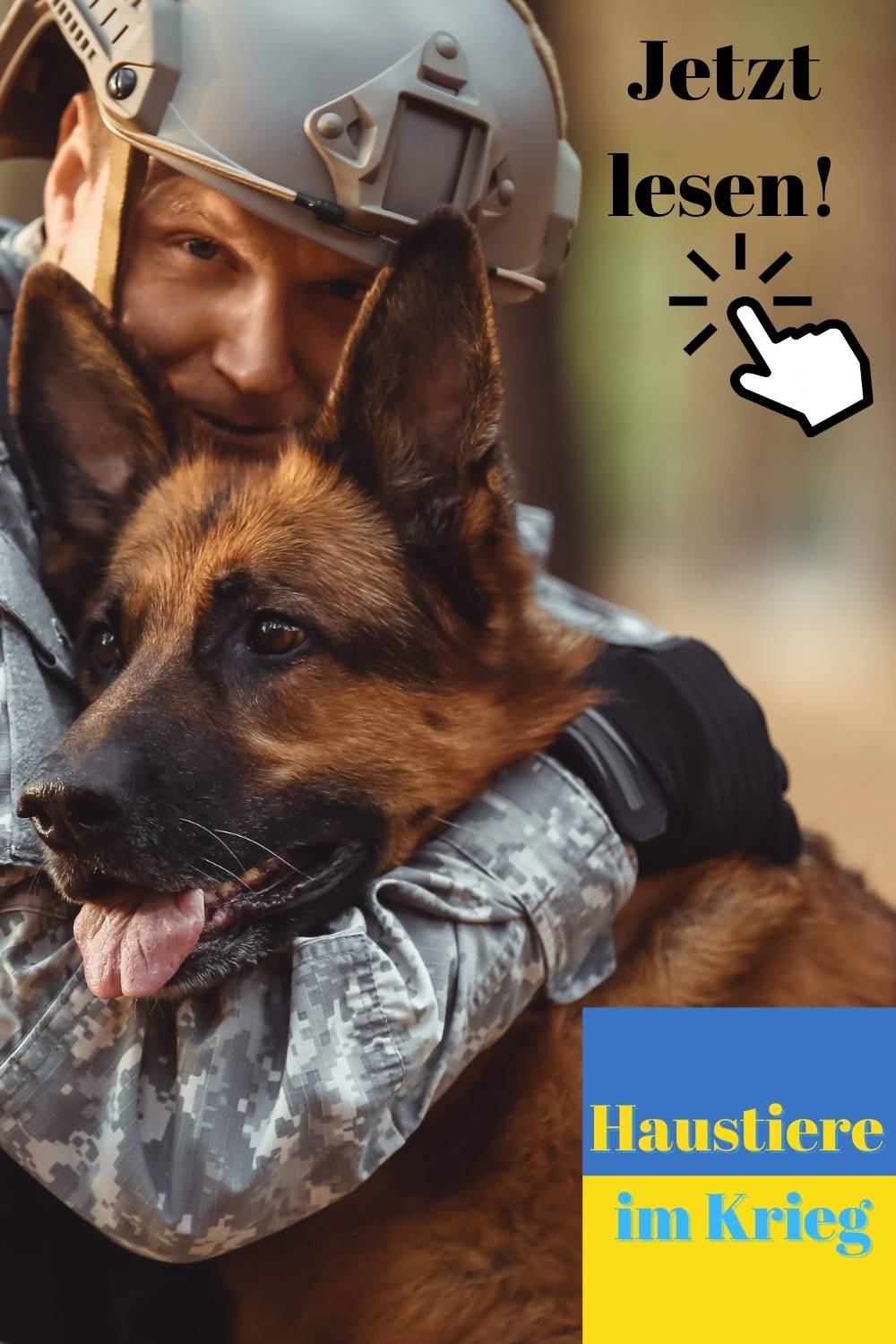 Ukrainische Katzen und Hunde - Ukrainischen Haustieren im Krieg helfen