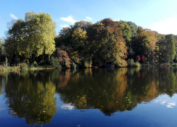 Rombergpark Dortmund See 